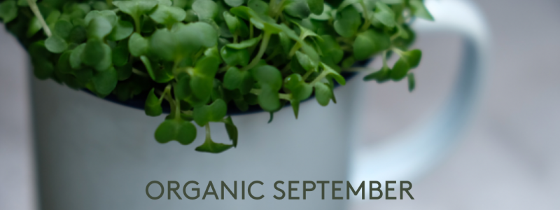 Organic September: Nourishing Menopause Naturally